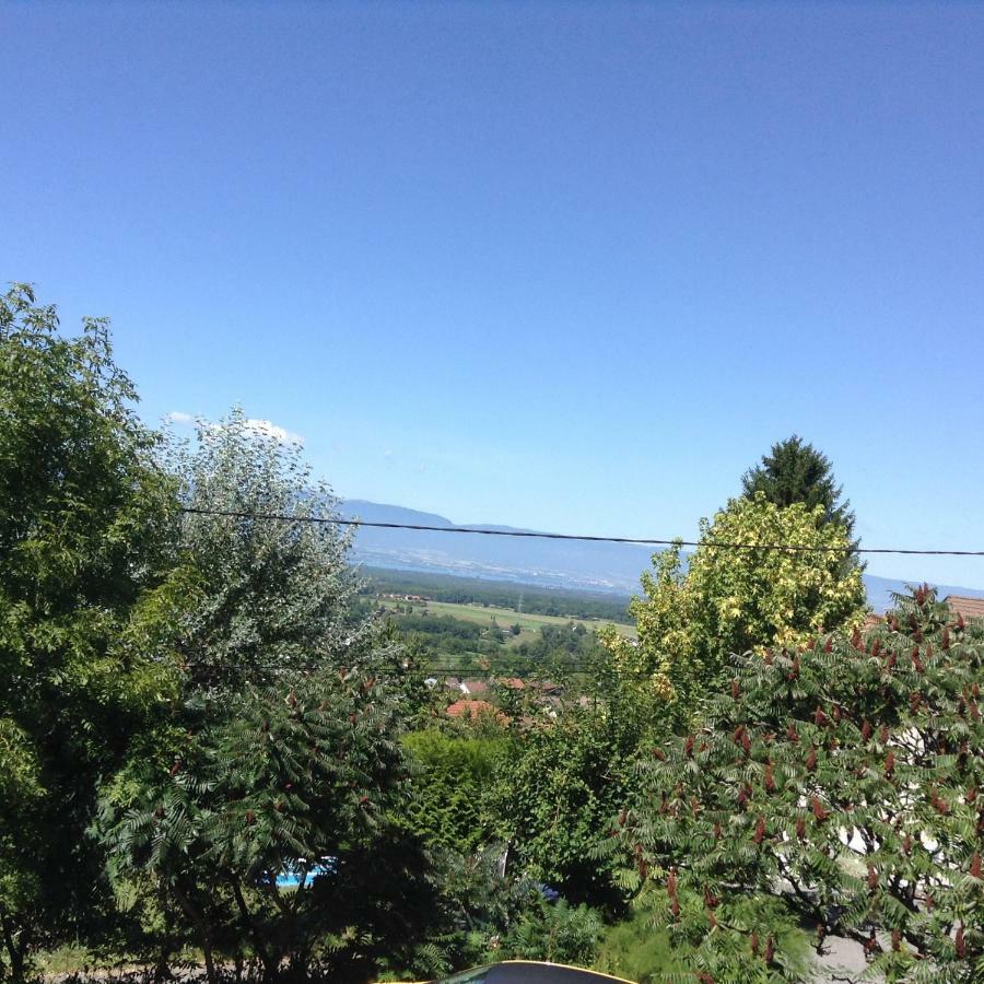 A Cote De Geneve 2 Daire Saint-Cergues Dış mekan fotoğraf